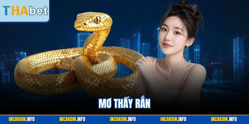 Mơ thấy rắn